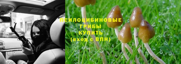 дурь Абдулино