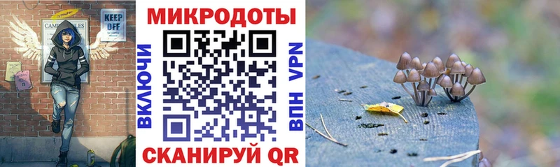 наркошоп MEGA ссылка Галлюциногенные грибы прущие грибы Хабаровск